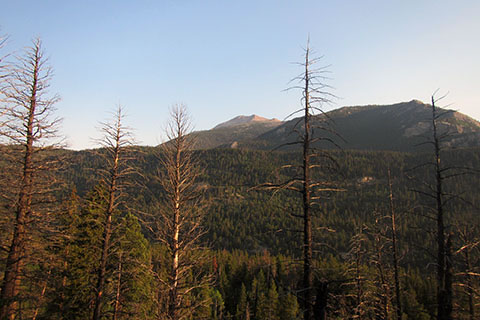 View to the north near the start of the trail