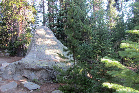 boulder at the top of the climb still on the south of the moraine