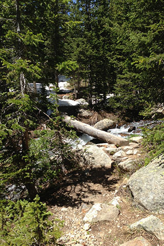 footbridge over Pear Creek