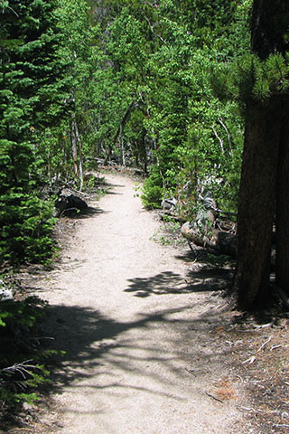 Sandbeach Lake trail