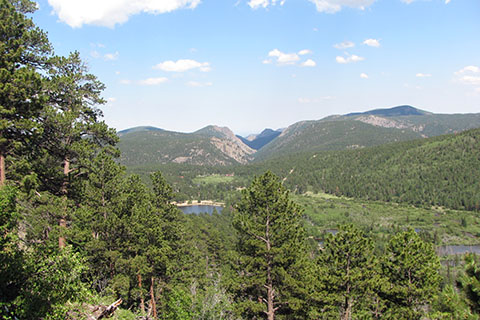 Looking south east to Copeland Lake