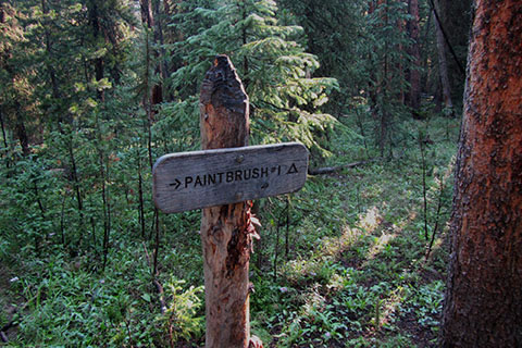 Wooden trail sign to Paintbrush campsite