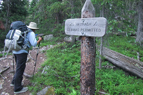 Junction with the Haynach Lake spur trail. Hiker starts up the steep trail. Photo includes trail sign