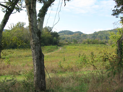 junction on the trail
