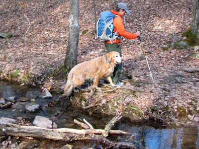 one of the many creeks on the Rim Trail