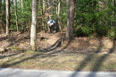 Trail crossing the main road