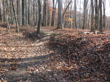 Trail leaving old wagon road
