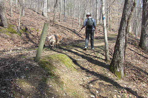 Trail joins an unimproved road