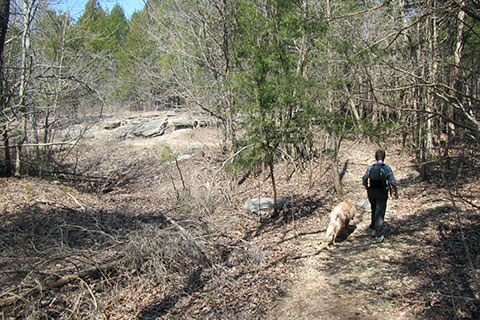 Cedar Glade