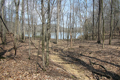 Trail near an inlet