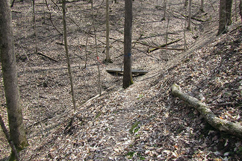 Small bridge in the back of a hollow