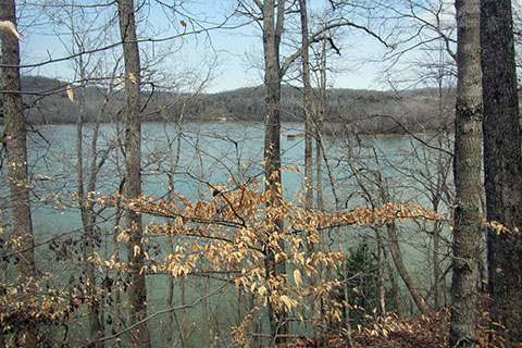 view of Lick Creek inlet