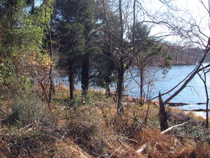 Radnor Lake from the Lake Trail
