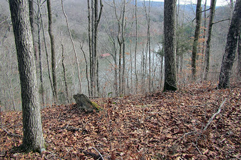 view of the lake from the top of the hill