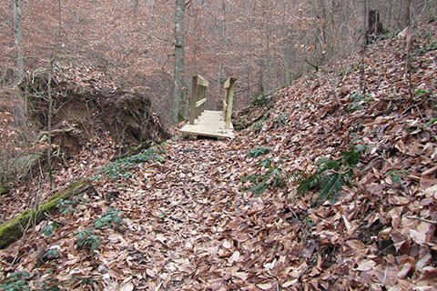 Bridge on the trail above Beach Rd