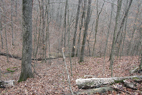 bridge below trail