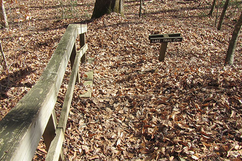 steps leading to the Cabin Spur