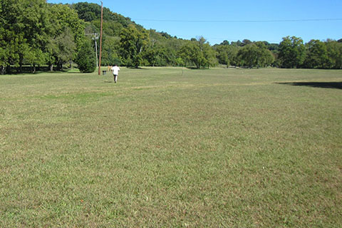 jogger heading across the field