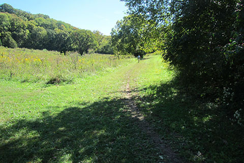 walker climbing a hill